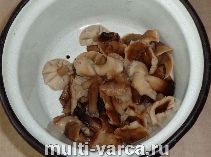 Пиріг із картоплею та грибами в мультиварці