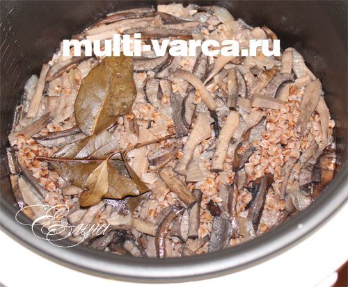 Гриби з гречкою в мультиварці