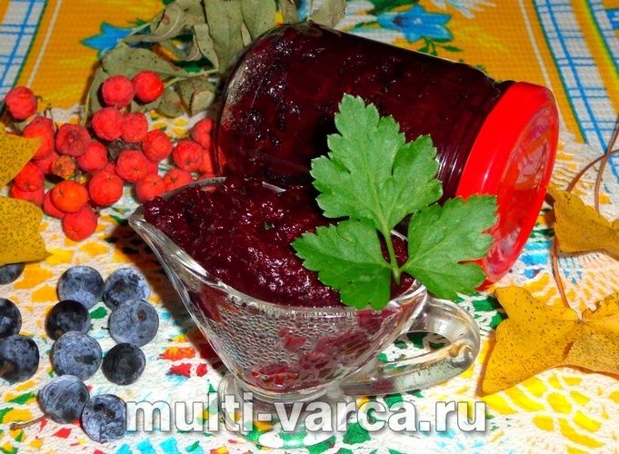Ткемалі з терну на зиму