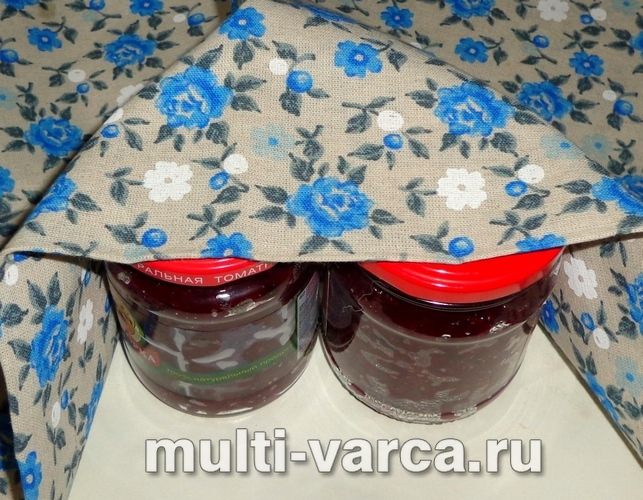 Ткемалі з терну на зиму
