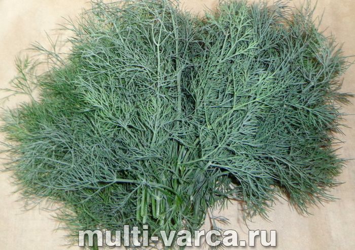 Соус із кропу та часнику на зиму