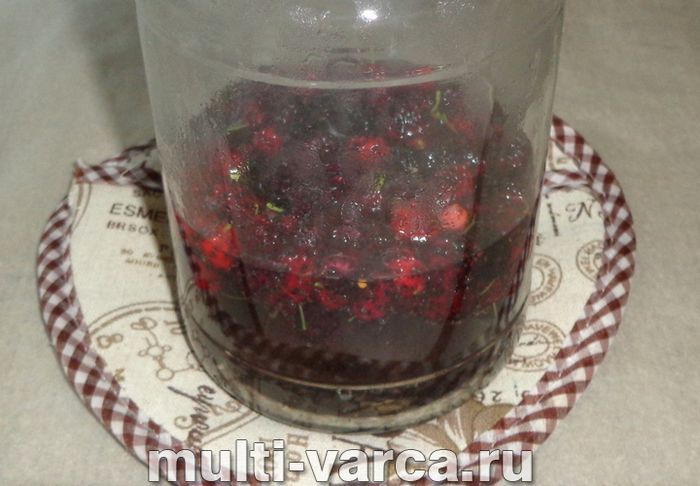Компот із шовковиці на зиму