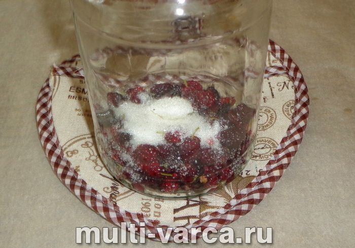 Компот із шовковиці на зиму