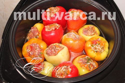 Смачні фаршировані перці з рисом, фаршем і овочами