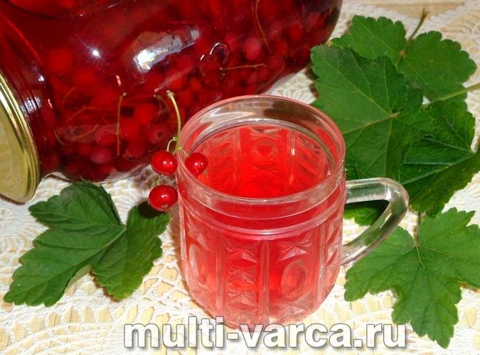 Компот із червоної смородини