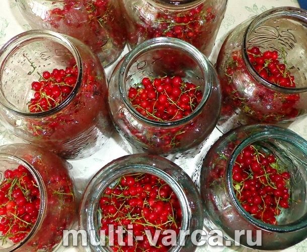 Компот із червоної смородини