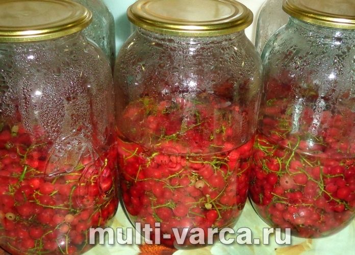 Компот із червоної смородини