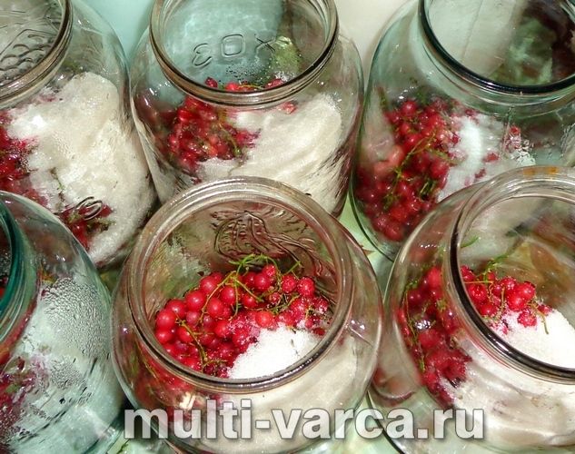 Компот із червоної смородини