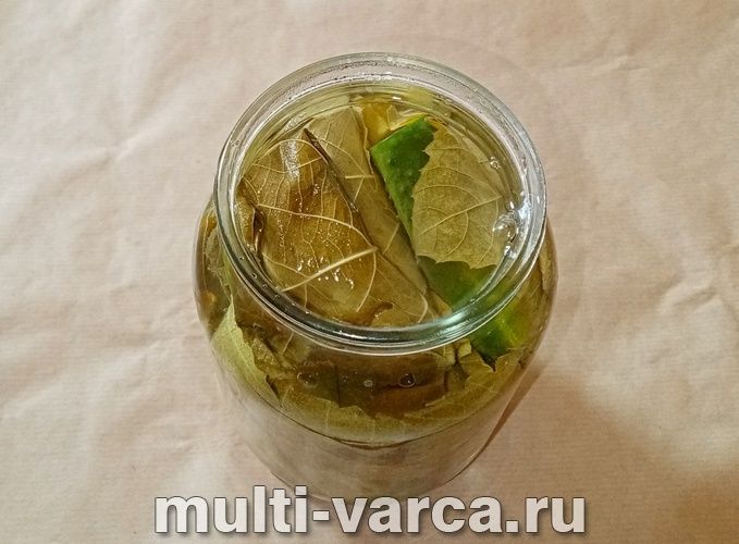 Огірки у виноградному листі на зиму