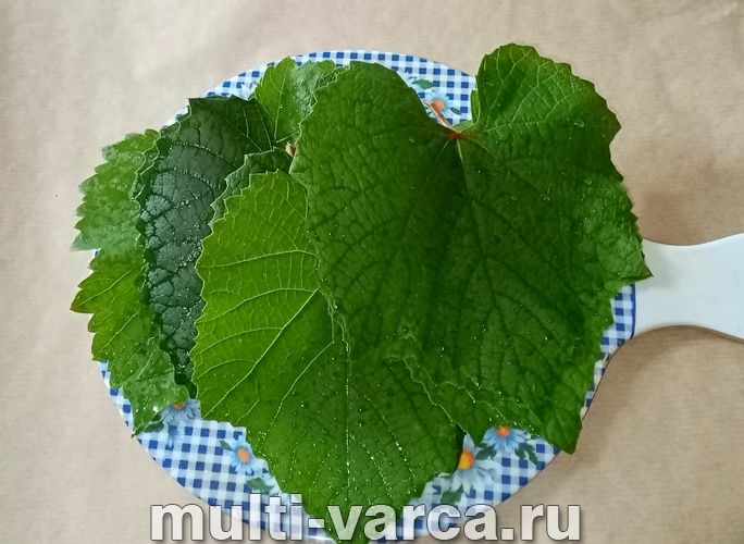 Огірки у виноградному листі на зиму