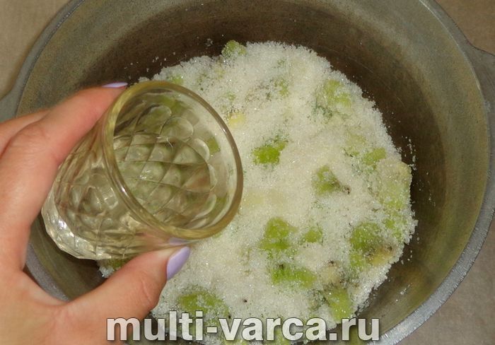 Варення з аґрусу з ківі на зиму