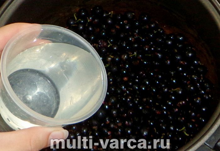 Желе з чорної смородини в мультиварці
