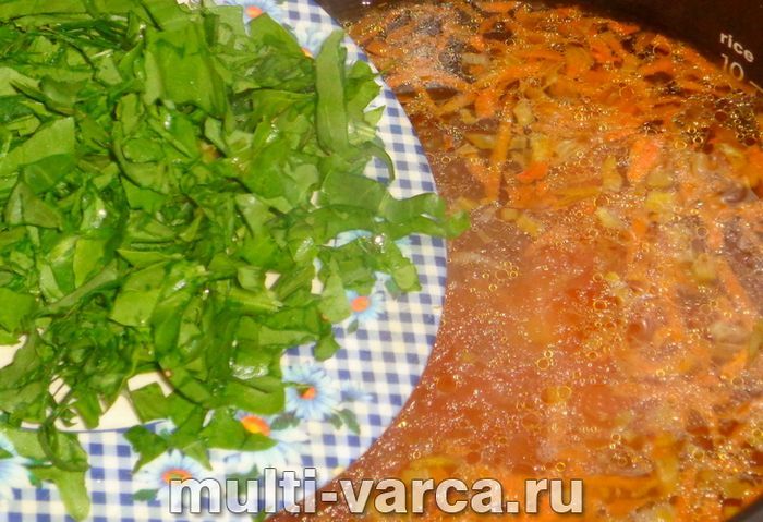 Борщ зі щавлем