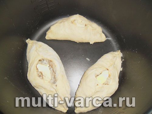 Розтягаї з рибою та рисом