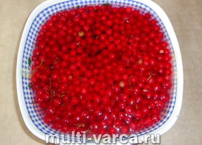 Желе з червоної смородини в мультиварці