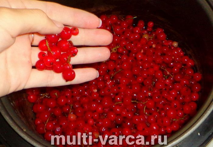 Желе з червоної смородини в мультиварці