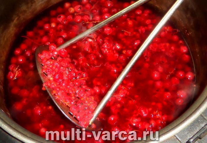 Желе з червоної смородини в мультиварці