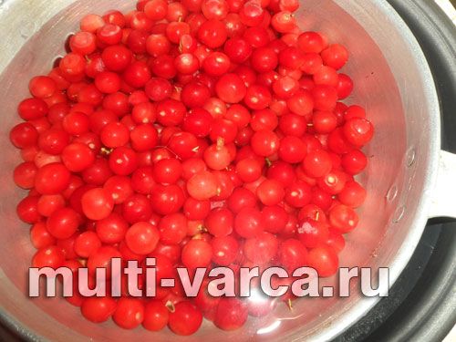 Компот із повстяної (китайської) вишні на зиму