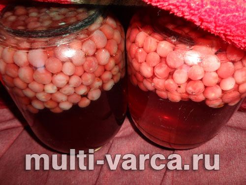 Компот із повстяної (китайської) вишні на зиму