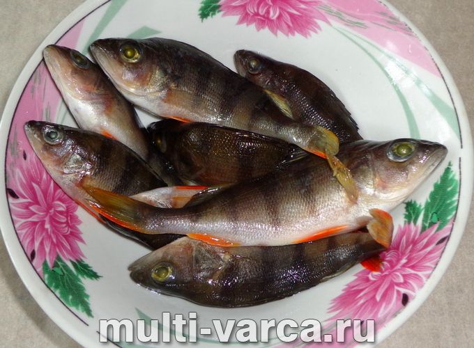 Уха з окуня в мультиварці