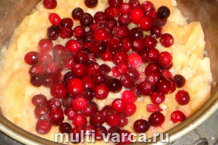 Варення з яблук із журавлиною в мультиварці