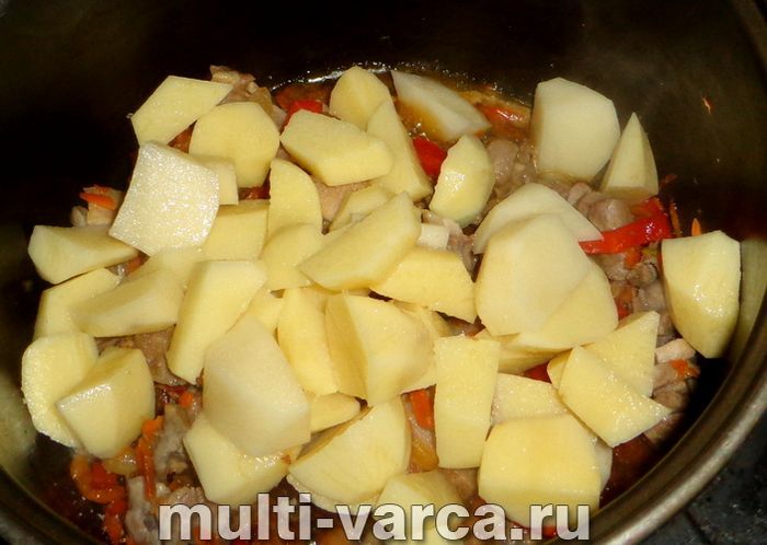 Рагу з курки з картоплею в мультиварці