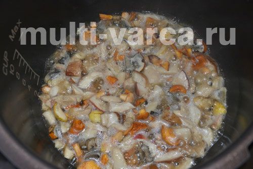 Щи з грибами зі свіжої капусти