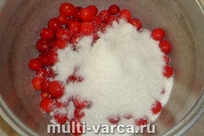 Варення зі шпанки з кісточками