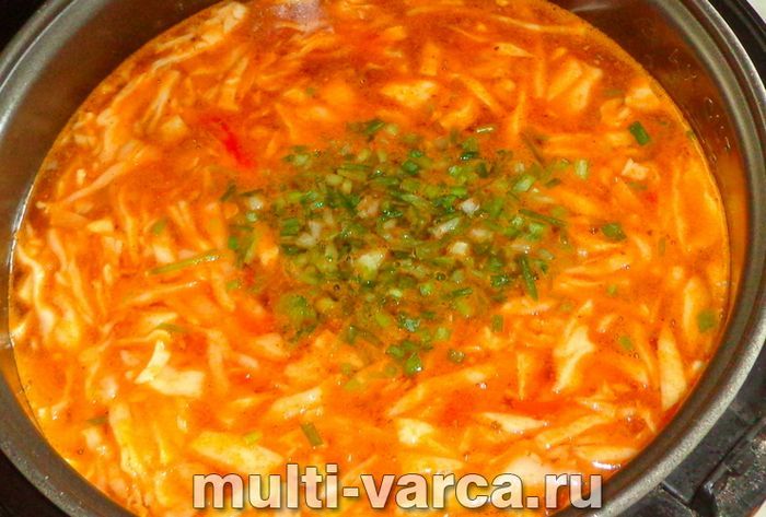 Борщ зі свининою в мультиварці