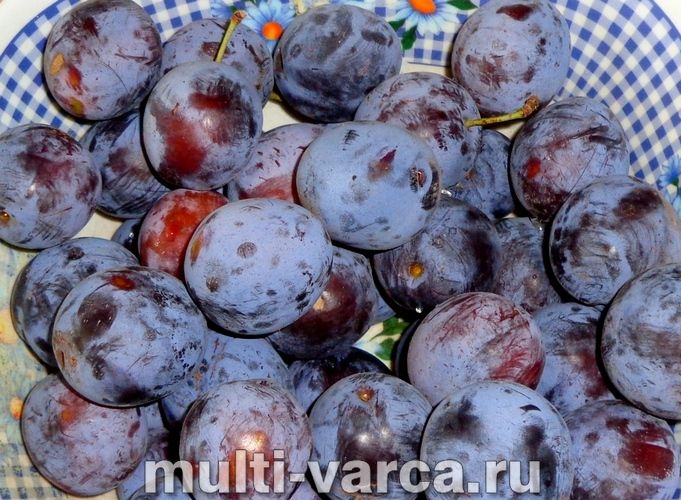 Сливи у власному соку на зиму