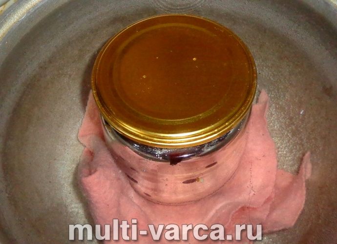 Сливи у власному соку на зиму