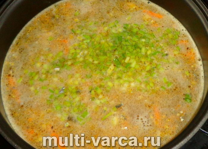 Суп із сайри в мультиварці
