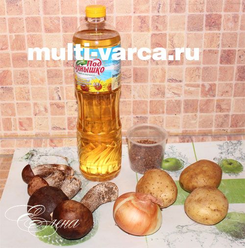 Грибівниця з підберезовиків