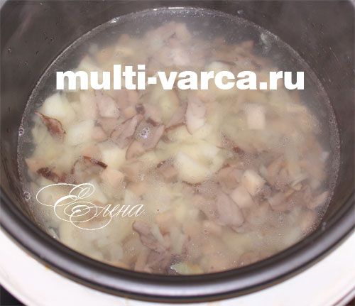 Грибівниця з підберезовиків