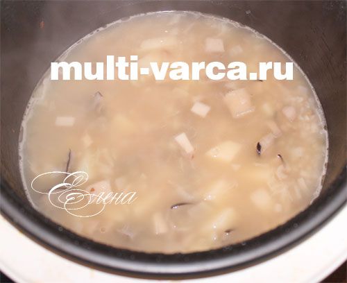 Грибівниця з підберезовиків