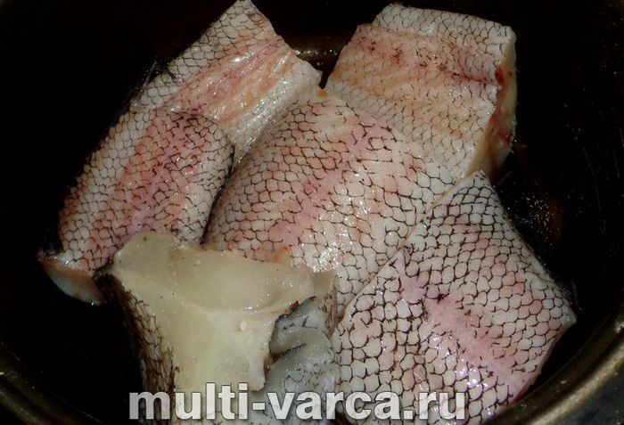 Макрурус у мультиварці