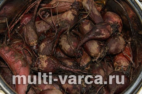 Маринований буряк на зиму