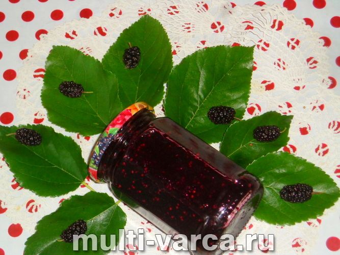 Шовковиця на зиму без варіння
