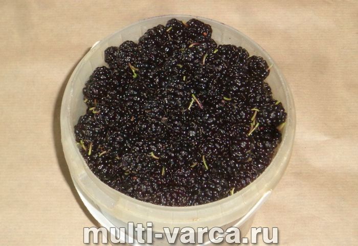 Шовковиця на зиму без варіння