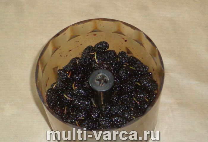 Шовковиця на зиму без варіння