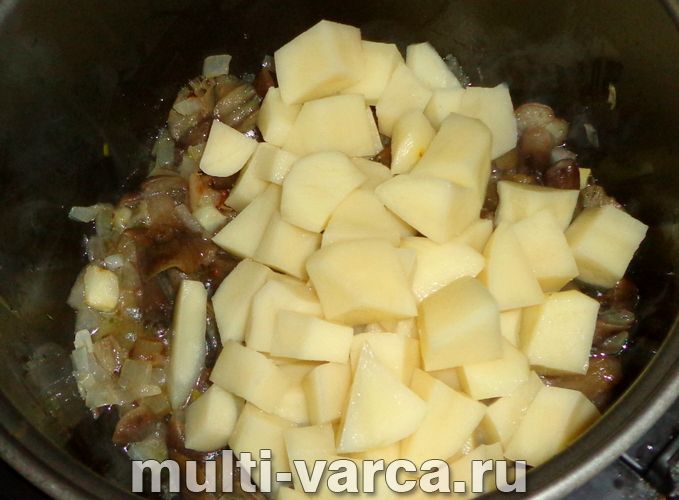 Картопля з грибами в сметані в мультиварці
