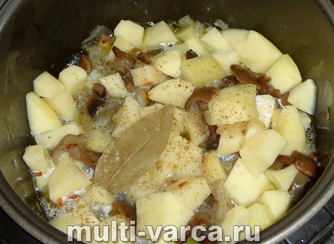 Картопля з грибами в сметані в мультиварці