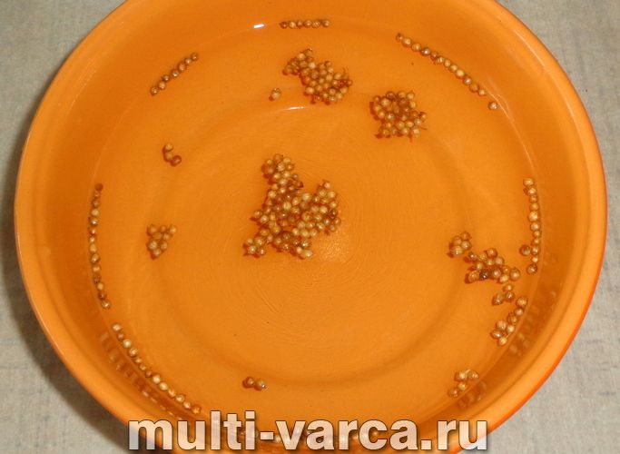 Пастрома з курячої грудки в мультиварці