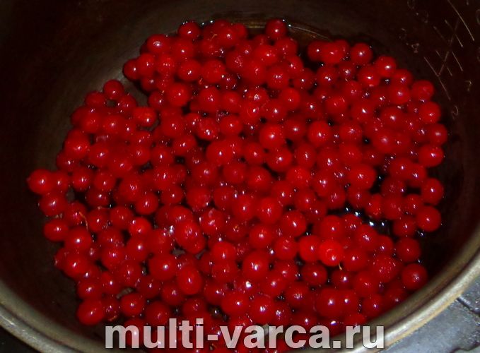Калина в мультиварці
