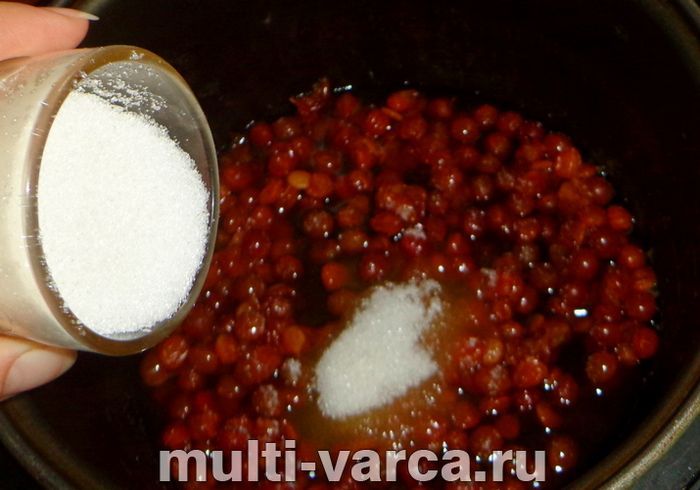Калина в мультиварці