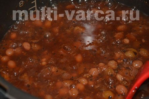 Чатні з аґрусу