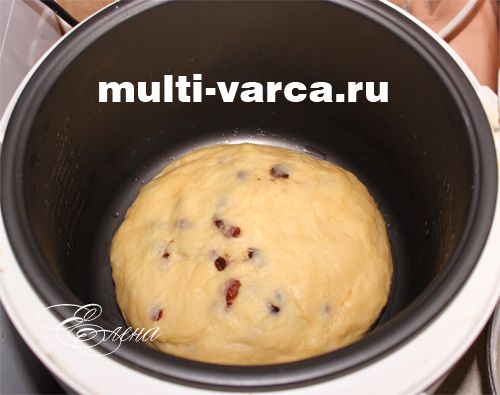 Цитрусова паска з родзинками в мультиварці