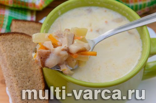 Молочний суп із білими грибами