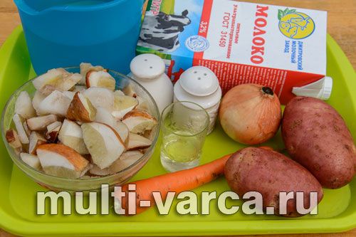 Молочний суп із білими грибами
