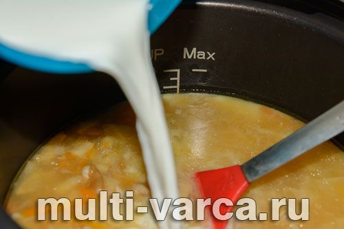 Молочний суп із білими грибами